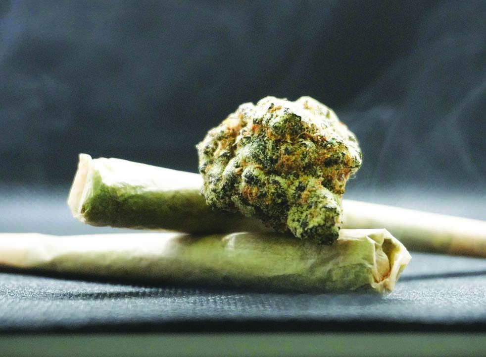 image Bucking the trend: Why does Cyprus still demonise cannabis?