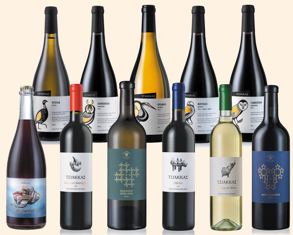image Complete Cyprus wine experience